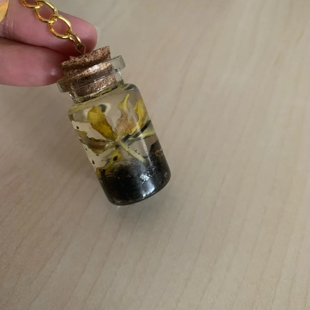 Keychain-plants - Picture 2 of 4